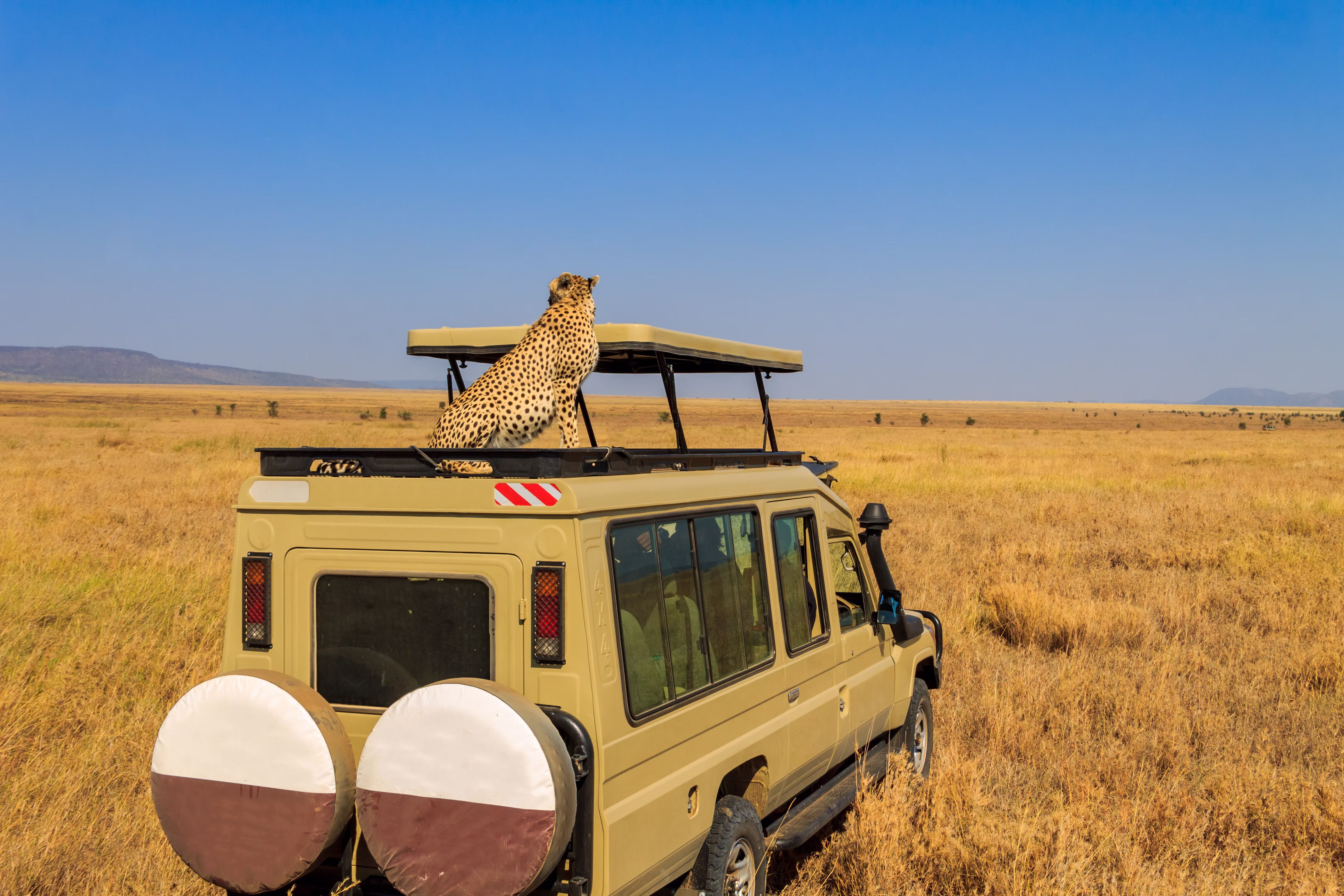 SERENGETI