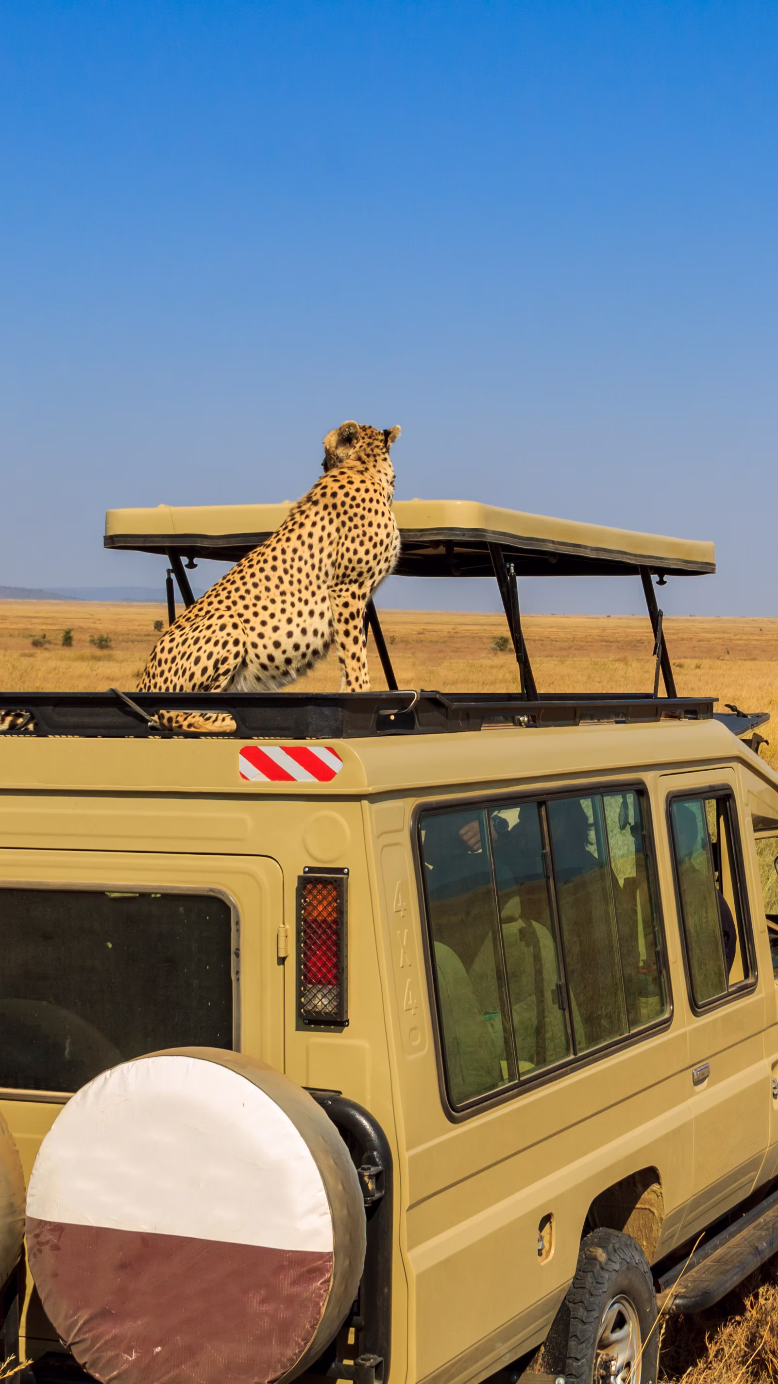 SERENGETI