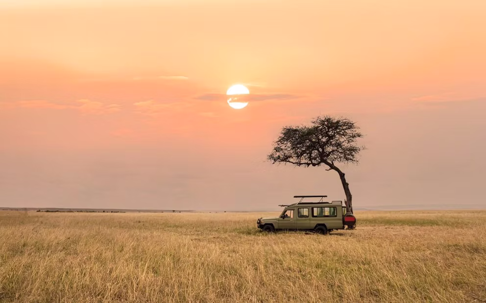 Golden acacia savanna landscape across Kenya and Tanzania